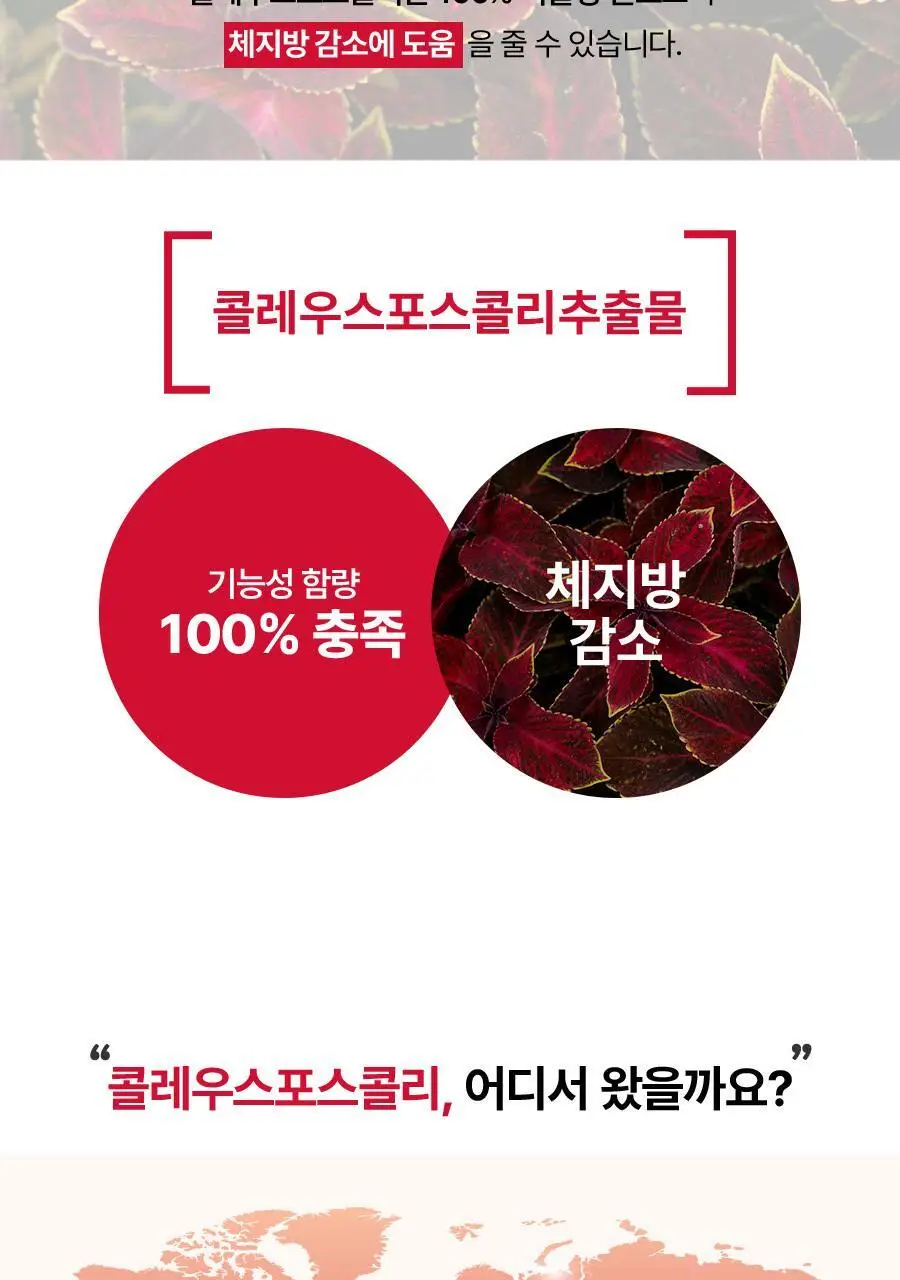 [서현PICK] 콜레올로지 티 PRO 하비탈출 8,000mg X 7포/15포 (7일분/15일분) 상세페이지 14